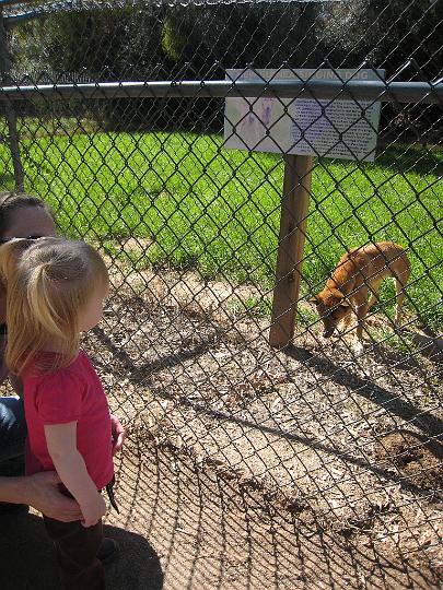 2nd Birthday at the zoo 38.JPG